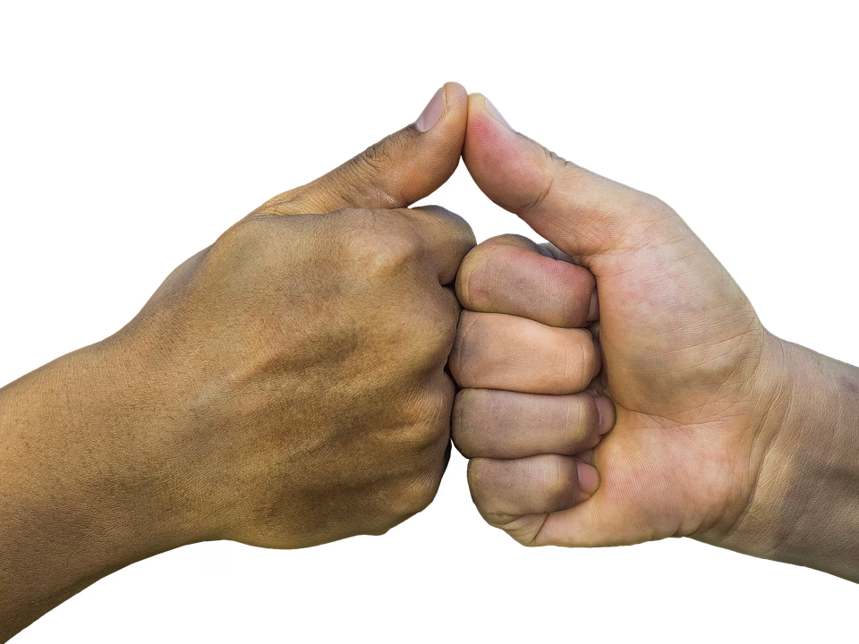 The Collaboration Revolution: Small Business Tools That Drive Results