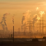 The Environmental Impact of vCards: A Greener Alternative to Business Cards