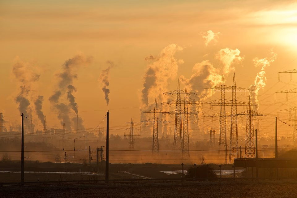 The Environmental Impact of vCards: A Greener Alternative to Business Cards The Environmental Impact of vCards: A Greener Alternative to Business Cards