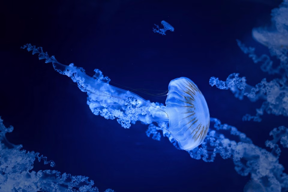 Streamline Your Workflow: A Deep Dive into Flowlu’s Features Streamline Your Workflow: A Deep Dive into Flowlu’s Features