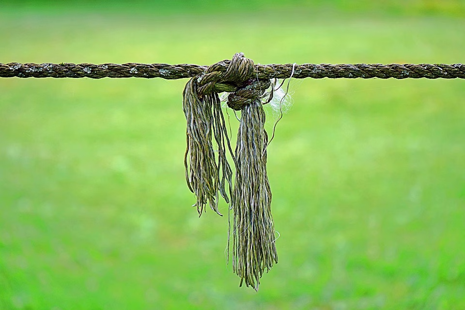 Connecting Safely: Why Your vCard Needs a Secure Contact Form Connecting Safely: Why Your vCard Needs a Secure Contact Form