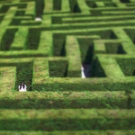 Navigating the Customer Journey: Effective Lead Nurturing Through Automation