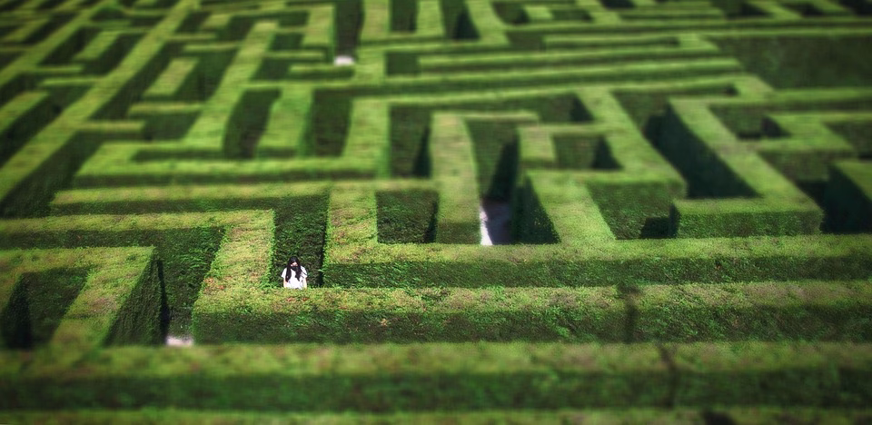 Navigating the Customer Journey: Effective Lead Nurturing Through Automation