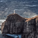 Make Waves Online: Successful Strategies for Marketing Digital Cards on Social Media