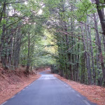 From Leads to Closings: Streamlining Your Sales Process with Real Estate CRM