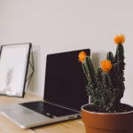 Unlocking Efficiency: A Step-by-Step Software Setup Guide for Beginners