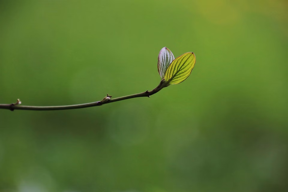 Go Green and Go Digital: Eco-Friendly Tips for Your Next Business Card