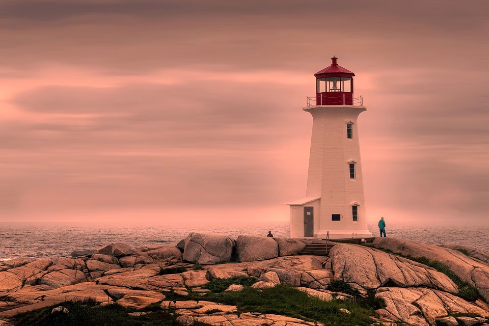 Navigating Uncertainty: The Importance of Cash Flow Forecasting in Volatile Markets