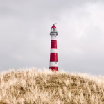 Navigating the Digital Landscape: Tips for Service Providers Implementing Digital Cards