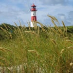 Navigating the CRM Landscape: Training Your Team for Success