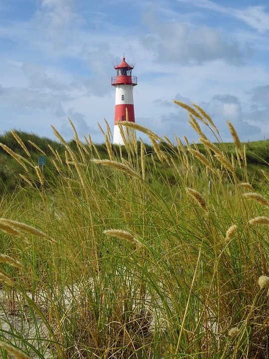 Navigating the CRM Landscape: Training Your Team for Success