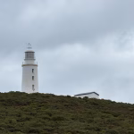 Navigating Challenges: Common Pitfalls in Internal Asset Management and How to Avoid Them