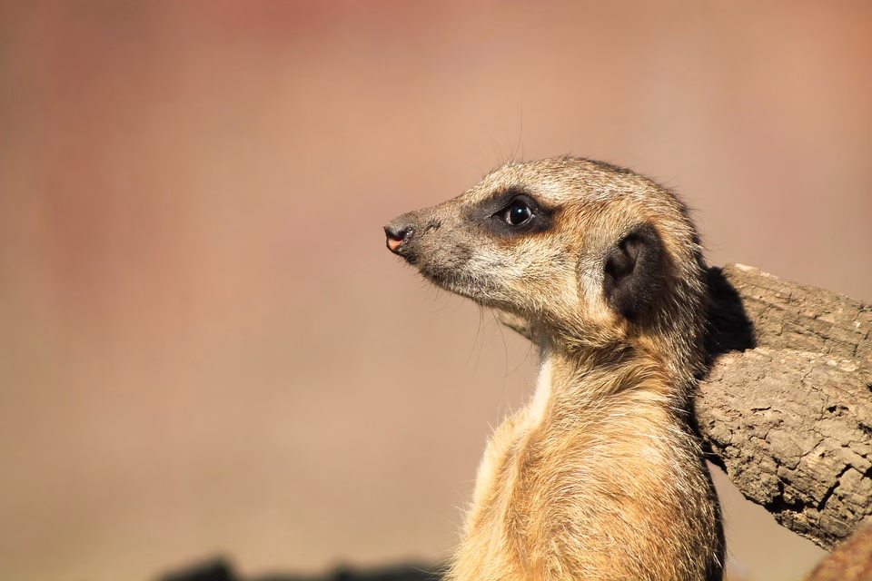 Guarding Your Network: Tips for Securing Your vCard with a Password