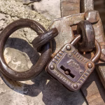 From Encryption to Backup: Ensuring Your vCard Stays Secure