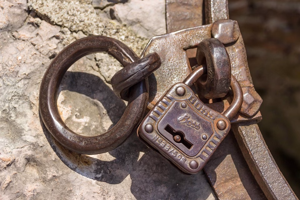 From Encryption to Backup: Ensuring Your vCard Stays Secure