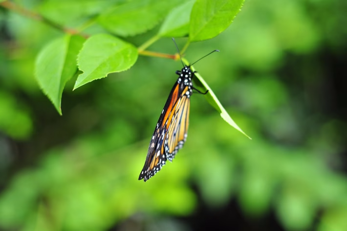 Transforming Connections: How to Make Your Digital Cards Stand Out