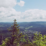 The Future of Customer Experience: Why Every Brand Needs Journey Mapping