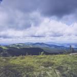 Leveraging Influencer Partnerships: A Modern Marketing Strategy for Growth