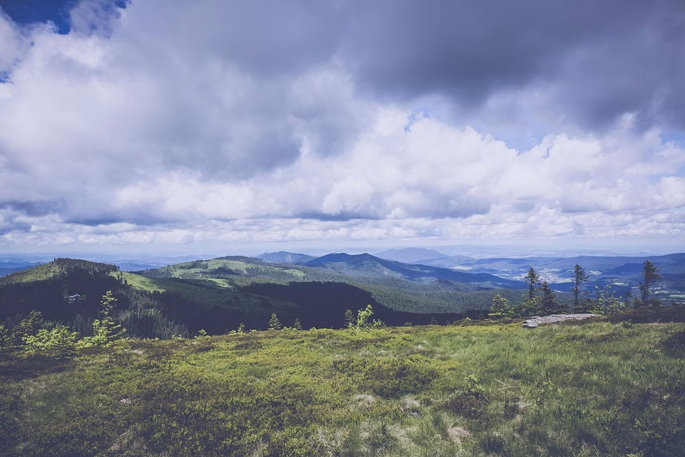 Leveraging Influencer Partnerships: A Modern Marketing Strategy for Growth Leveraging Influencer Partnerships: A Modern Marketing Strategy for Growth