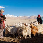 Nomadic Life: How to Find Your Perfect Work-Life Balance