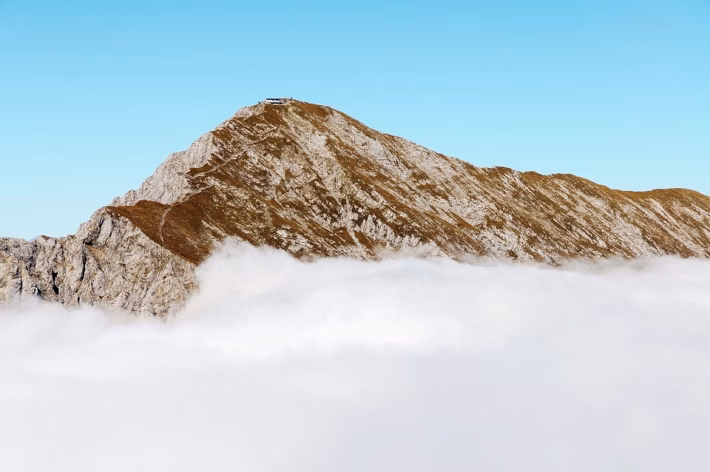 Future-Ready: Top HR Software Solutions Leading the Charge in 2025