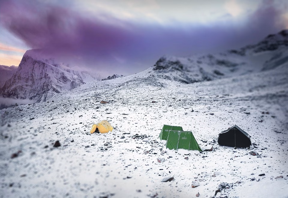 The Basecamp Approach: Simplifying Team Communication in a Complex World The Basecamp Approach: Simplifying Team Communication in a Complex World