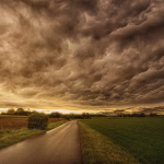 Cloud CRM vs. Traditional Systems: Which Is Best for Your Startup?