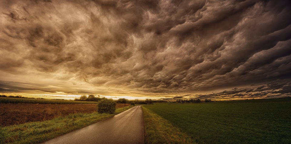 Cloud CRM vs. Traditional Systems: Which Is Best for Your Startup?