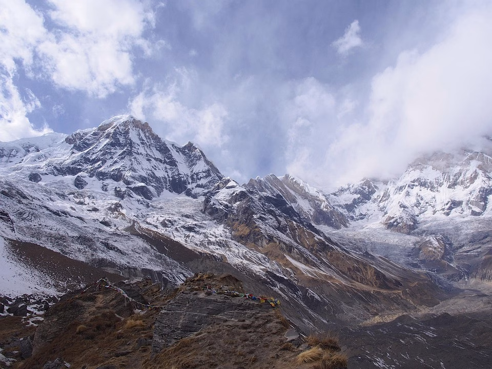 Basecamp: Revolutionizing Project Management for Remote Teams