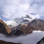 Basecamp vs. The Competition: Why Teams Are Choosing Simplicity Over Complexity
