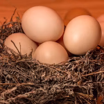 Unlocking the Full Potential of Your CRM: The Strategic Advantage of Branded Subdomains