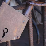 Password Protection Made Easy: Our Picks for the Best Managers