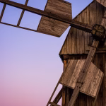 Building a Profit-Driven Culture: Aligning Your Team for Financial Success