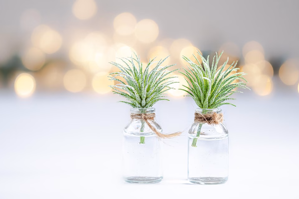 Unlocking Simplicity: How Capsule CRM Streamlines Your Business Operations