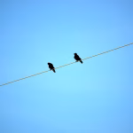 The Power of Together: Why Your Team Needs Collaboration Software Now