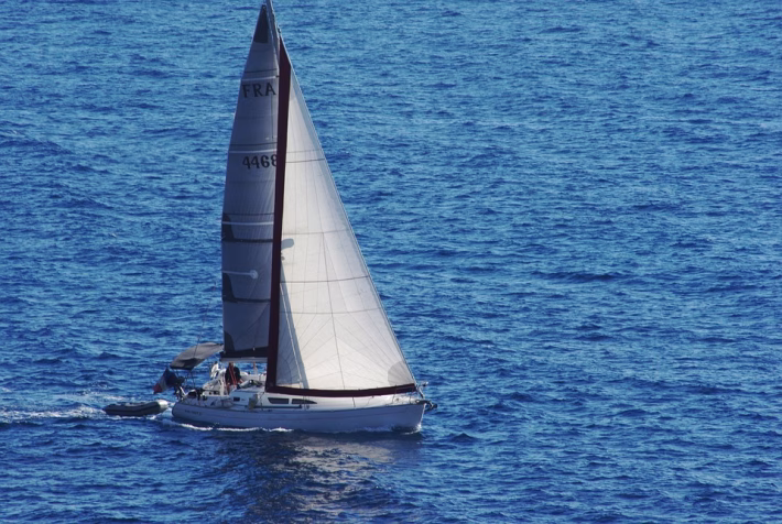 Navigating the Future: Workflow Automation Trends to Watch