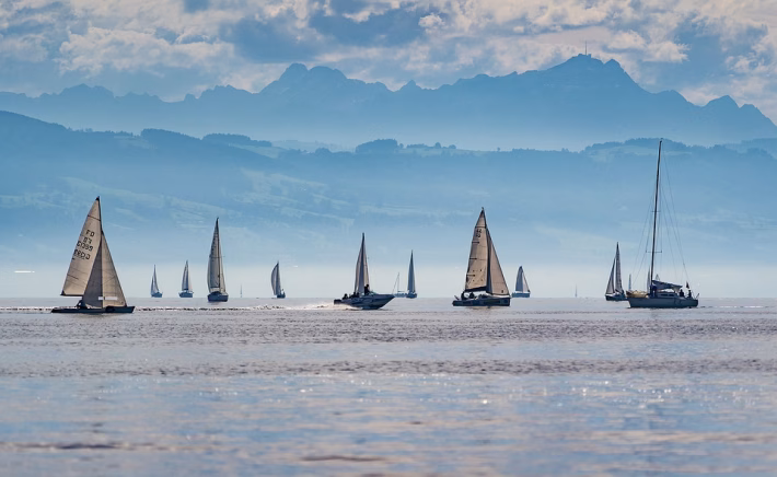 ProofHub vs. the Competition: Which Project Management Tool Comes Out on Top?