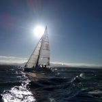 Navigating Change: Expert Perspectives on the Future of Software Development