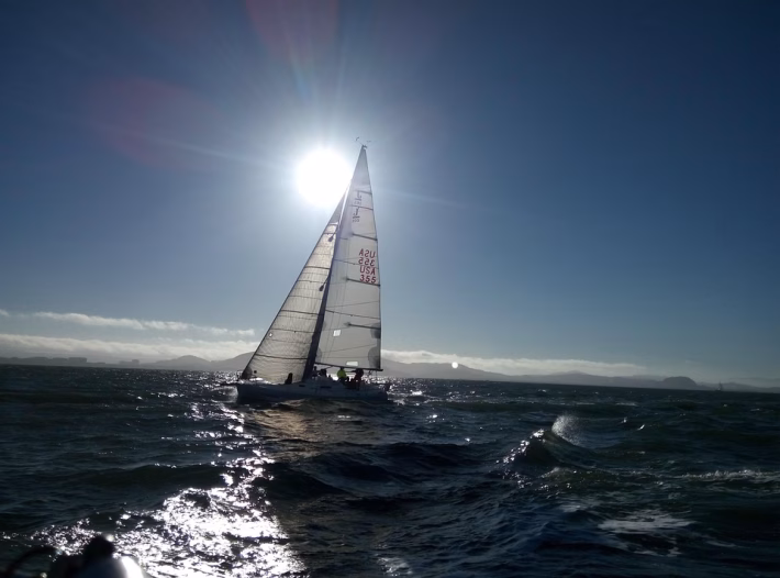 Navigating Change: Expert Perspectives on the Future of Software Development