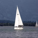 Navigating Client Portals: The Role of Custom Domains in Modern CRM