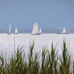 Time Management Overhaul: How Remote Workers Can Improve Efficiency with Tracking Tools