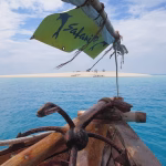 Navigating Market Trends: Strategies to Stay Profitable in a Competitive Landscape