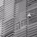 Privacy Matters: Essential Tips for Secure Digital Business Cards
