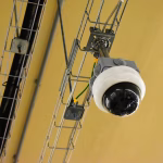 Securing Your Data: The Role of Document Management in Cybersecurity