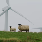 Revolutionizing Sustainability: The Latest Breakthroughs in Green Tech