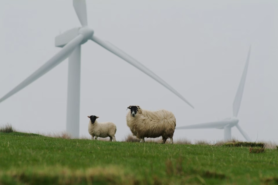 Revolutionizing Sustainability: The Latest Breakthroughs in Green Tech