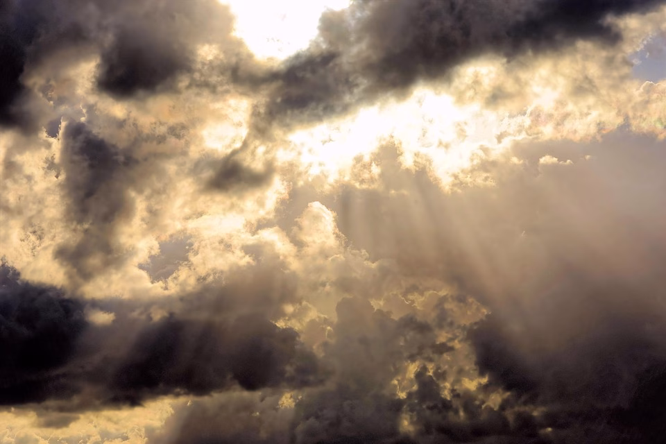 From Cloud to Collaboration: The Best File Sharing Apps of 2023 From Cloud to Collaboration: The Best File Sharing Apps of 2023
