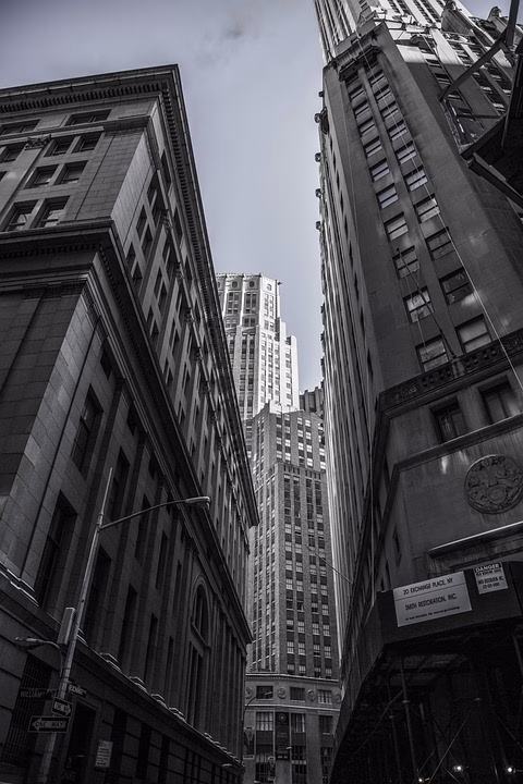 AI and Financial Literacy: Bridging the Gap for Savvy Investors AI and Financial Literacy: Bridging the Gap for Savvy Investors