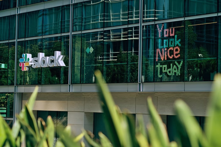 Salesforce Insights: Unlocking the Synergy Between Sales and Marketing