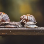 Protecting Your Business: Essential Cybersecurity Tools for Small Enterprises